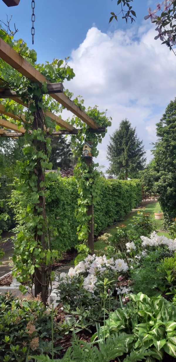 Erdmann Gartengestaltung Gartenplanung